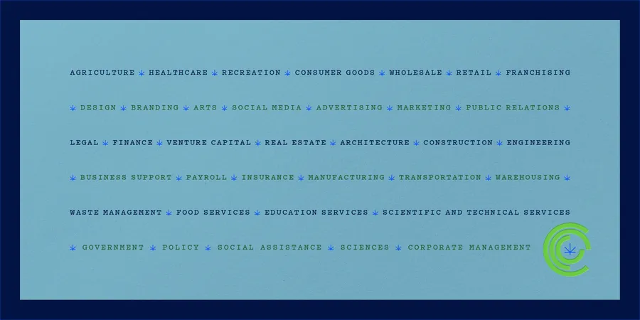 CCC Cannabis Branding Typography Chicago Graphic Design Span b