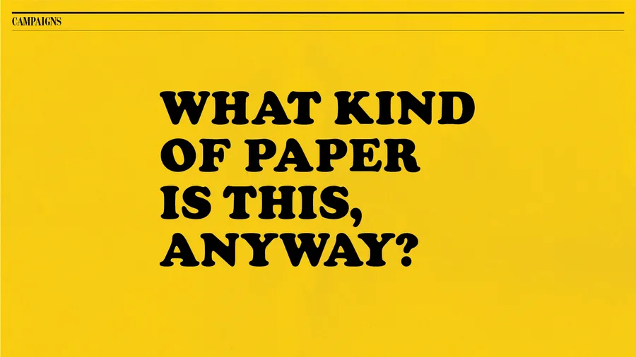 Reader Case Study What Kind Campaign Title 2