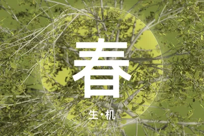 SOM XA Spring Title 1
