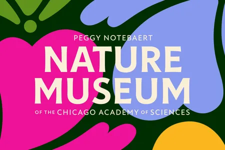 Span Nature Museum Visual Identity Rebrand 01