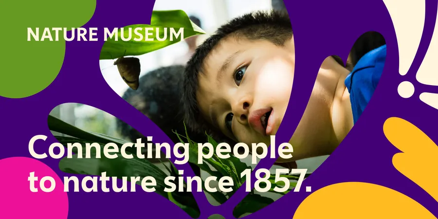 Span Nature Museum rebrand 27