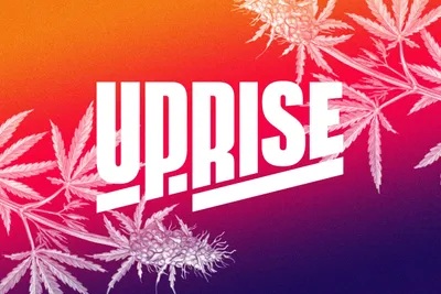 Span Uprise Cannabis Hero