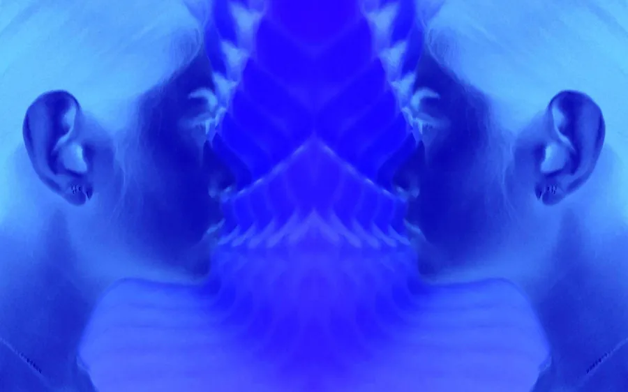 XRAY Webpost 200610 1 DN 6