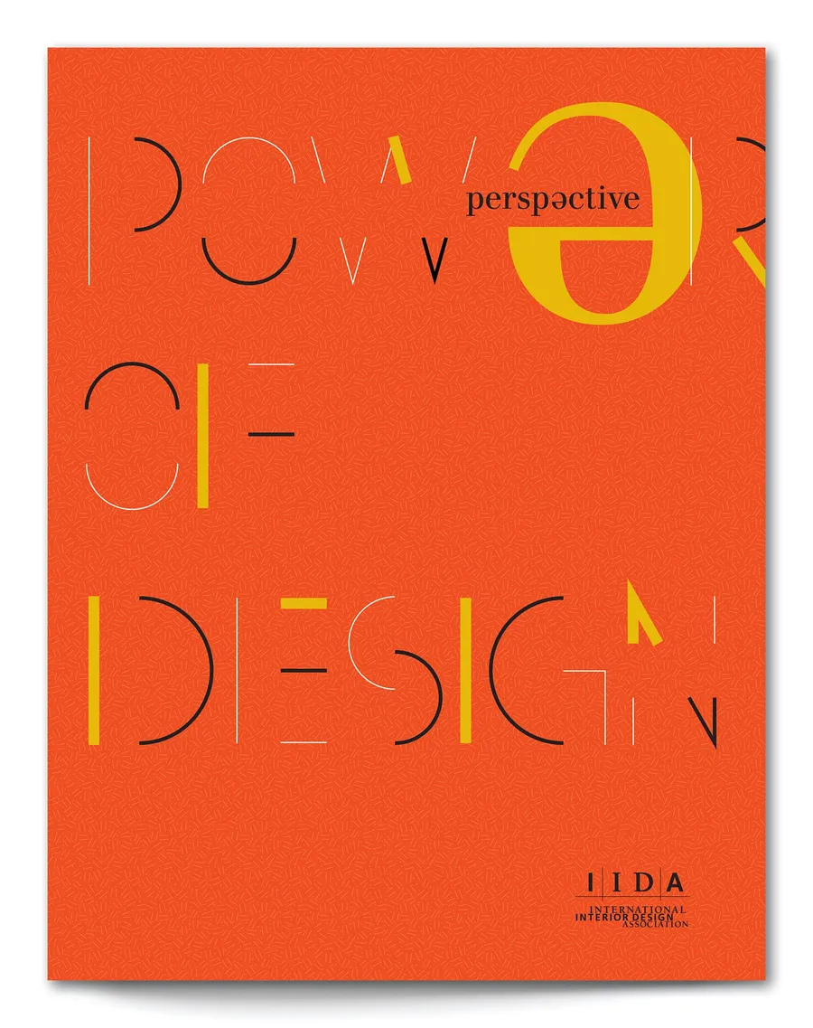 Iidaperspective20