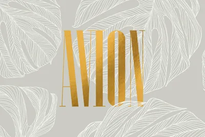 1 5 Span ALV Avion Logo Illustration